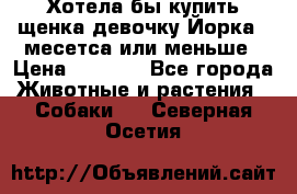 Хотела бы купить щенка девочку Йорка 2 месетса или меньше › Цена ­ 5 000 - Все города Животные и растения » Собаки   . Северная Осетия